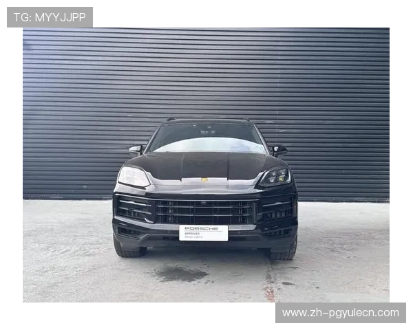 保时捷PG官网全面升级为用户提供更便捷的购车与服务平台